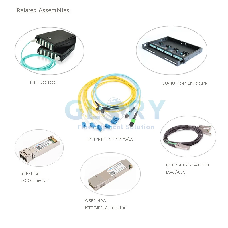 MPO 12 Breakout Cable application